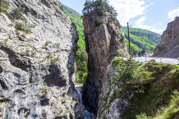 Kayaları öpmek. Kadargavan Kanyonu. Fiagdon Nehri Boğazı (Kurtat Boğazı). Ingushetia Cumhuriyeti, Rusya. 15 Mayıs 2021