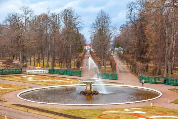 Olasz Szökőkút Petrodvoretek Peterhof Vagyok Szentpétervár Oroszország 2021 Április — Stock Fotó