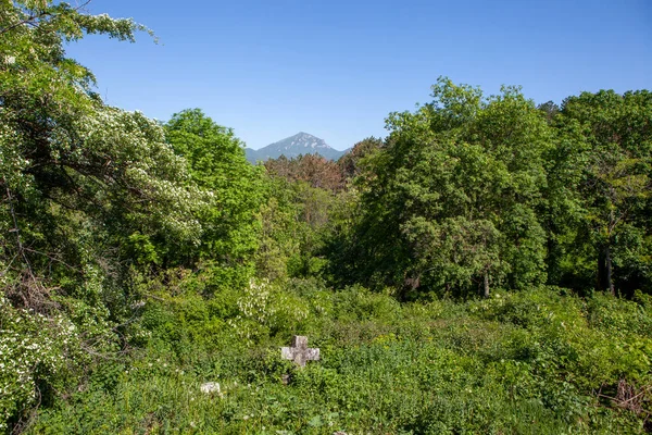 Begraven Necropolis Van Pyatigorsk Pyatigorsk Stavropol Regio Rusland Mei 2021 — Stockfoto