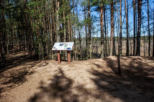 Informační Stánek Geodetické Měřítko Podél Trati Ekologické Stezky Sestroretskoe Bažiny — Stock fotografie