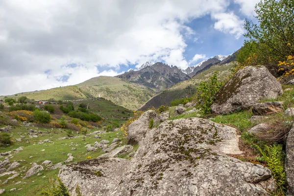 Dağ Manzarası Digoria Dağı Kuzey Osetya Rusya Mayıs 2021 — Stok fotoğraf