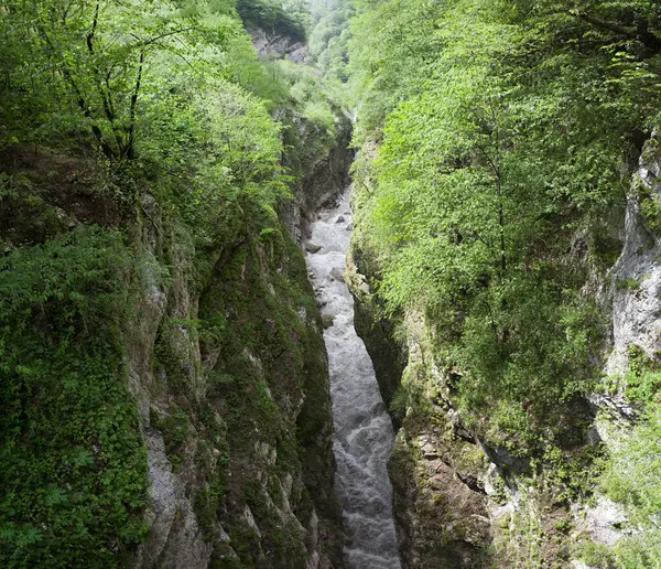 Kanion Akhsinta Uruchoński Kanion Wąwóz Digorskoe Północna Osetia Rosja Maja — Zdjęcie stockowe