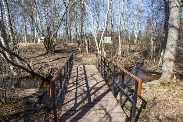 Ecological Trail Small Lake State Nature Reserve Sestroretskoe Swamp Beloostrov — Stock Photo, Image