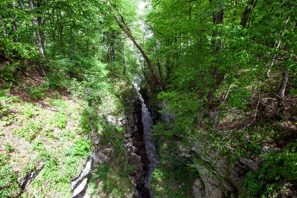 Akhsinta Canyon Urukh Canyon Digorskoe Kloof Noord Ossetië Rusland Mei — Stockfoto