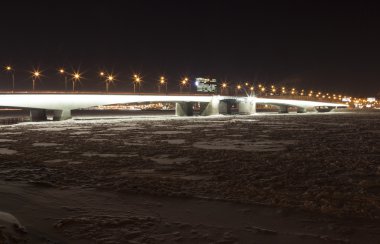 Alexander Nevsky Köprüsü (St. Petersburg)