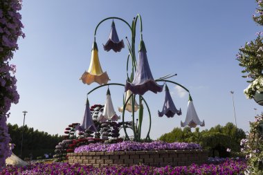 Flower Park in Dubai (Dubai Miracle Garden). United Arab Emirates. clipart
