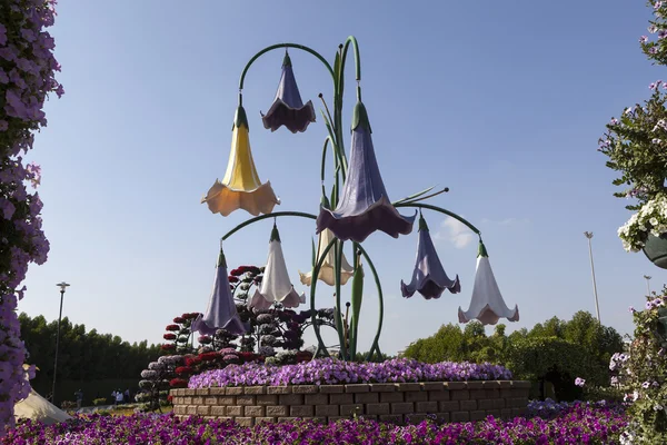 Flower Park in Dubai (Dubai Miracle Garden). United Arab Emirates. — Stock Photo, Image