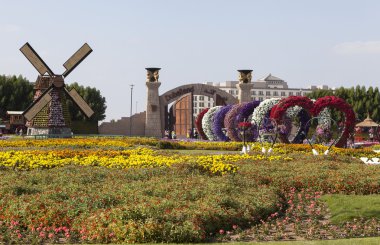 DUBAI, UAE - 23 Aralık 2014: Çiçek Parkı Fotoğrafı (Dubai Mucize Bahçesi)
