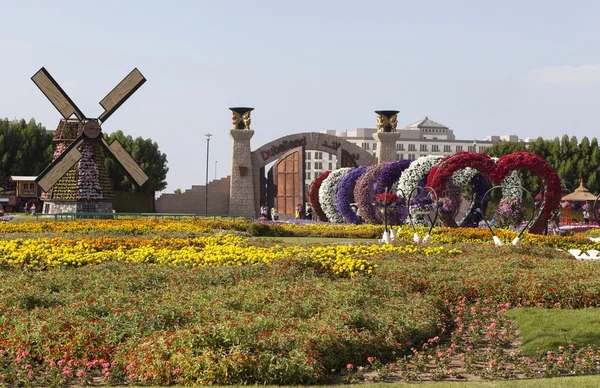 DUBAI, UAE - 23 Aralık 2014: Çiçek Parkı Fotoğrafı (Dubai Mucize Bahçesi)