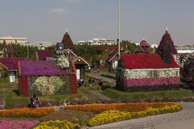 Çiçek Park Dubai (Dubai mucize Bahçe). Birleşik Arap Emirlikleri.