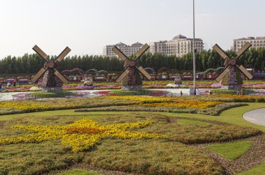 Çiçek Park Dubai (Dubai mucize Bahçe). Birleşik Arap Emirlikleri.