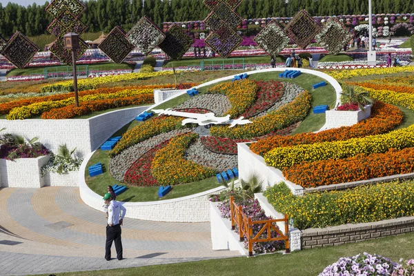 Flower Park em Dubai (Dubai Miracle Garden). Emirados Árabes Unidos . — Fotografia de Stock