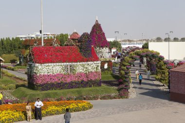 Çiçek Park Dubai (Dubai mucize Bahçe). Birleşik Arap Emirlikleri.