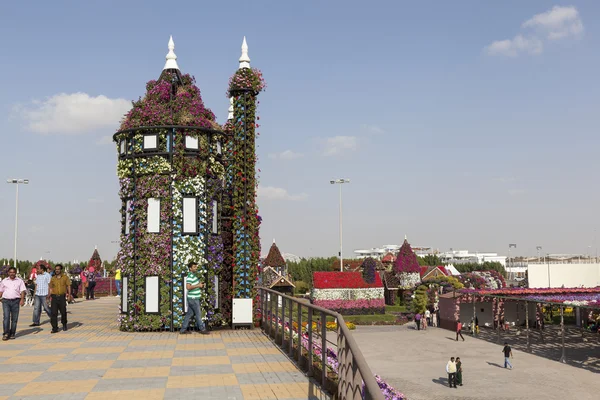 Flower Park in Dubai (Dubai Miracle Garden). United Arab Emirates. — Stock Photo, Image