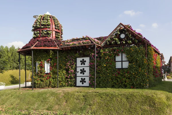 Flower Park in Dubai (Dubai Miracle Garden). United Arab Emirates. — Stock Photo, Image