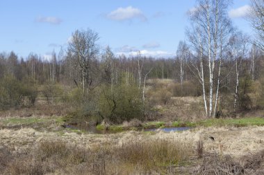 Nehir Lubja (Luppa) Priyutino. Vsevolozhsk. Leningrad bölge.
