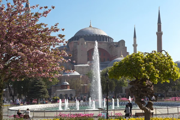 Park Sultanahmet i Muzeum Hagia Sofia z Konstantynopola, świątyni Hagia Sofia. Istanbul. Turcja. — Zdjęcie stockowe