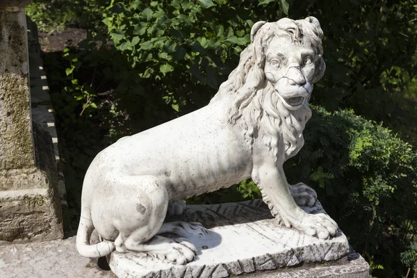 Marble lion on a big stone stairs in the palace park. Pavlovsk — Stock Photo, Image