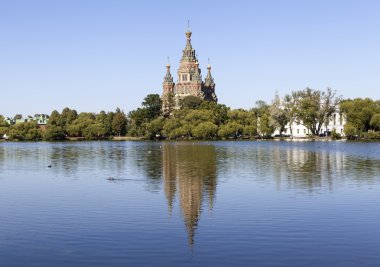 Peter and Paul Cathedral. Peterhof. Russia.