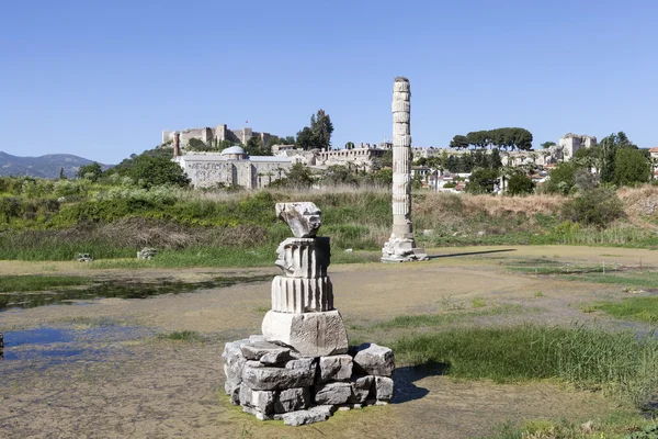 The ruins of the Temple of Artemis. Selcuk. Turkey. — Stock Photo, Image