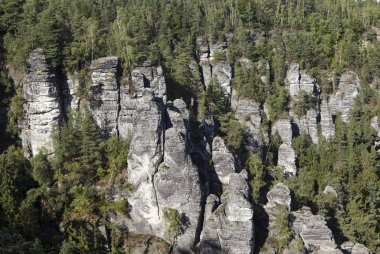 Tabiat Parkı Bastei. Saksonya. Almanya.