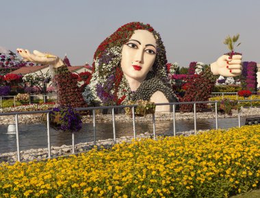 DUBAI, UAE - 23 Aralık 2014: Çiçek Parkı Fotoğrafı (Dubai Mucize Bahçesi)