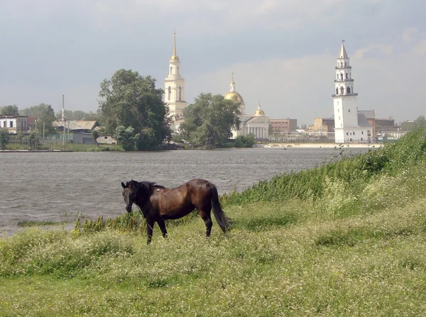 Häst på stranden av damm och Demidov lutande tornet till katedralen Transfiguration. Nevyansk. Ryssland. — Stockfoto