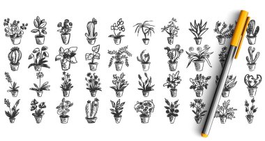 Ev bitkileri karalama seti