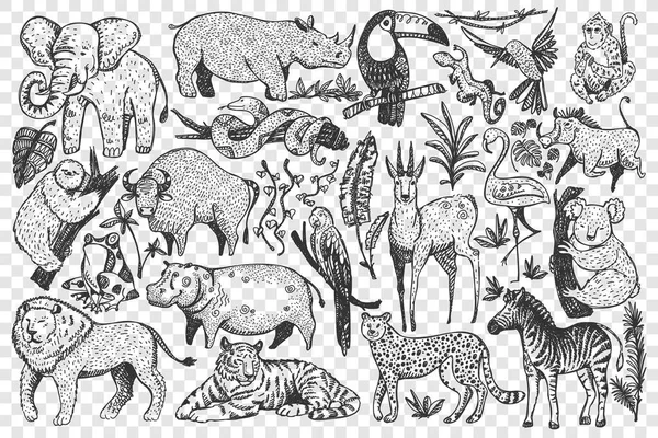 Animals hand drawn doodle set — Stock Vector