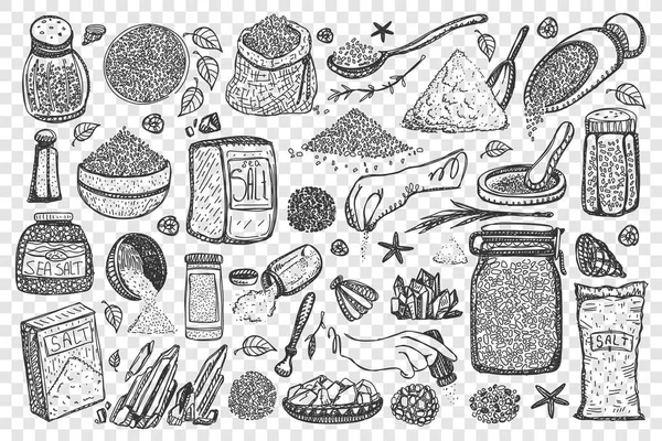 Conjunto de rabiscos desenhado à mão com sal —  Vetores de Stock