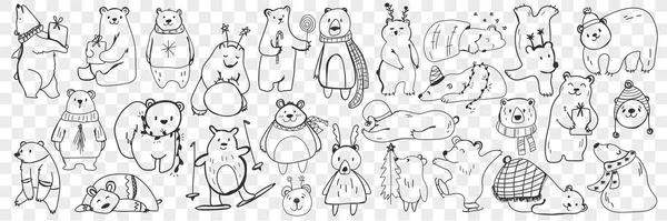 Polar och nallebjörn doodle set — Stock vektor