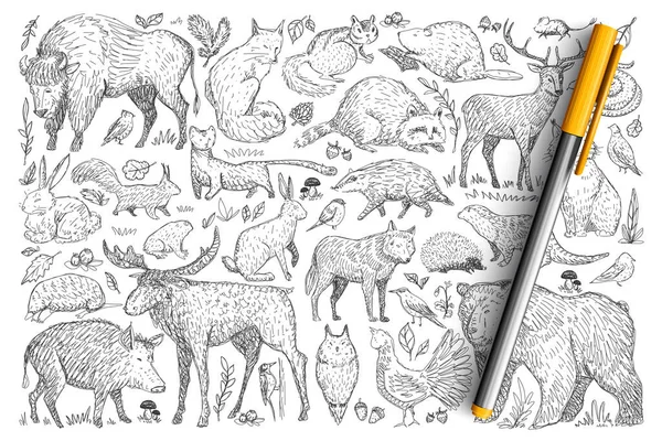 Bosque animales salvajes doodle conjunto — Vector de stock