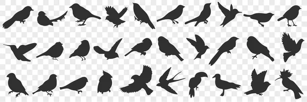 Silhouettes of birds doodle set — Stock Vector