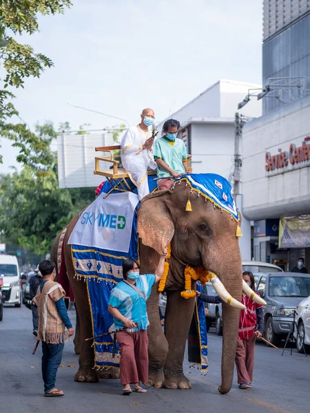 Chiang Mai, Tayland - 15 Aralık 2020 Budist papazlık töreninde fil ve insanlar.