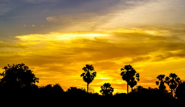 Sun rises and silhouette — Stock Photo, Image