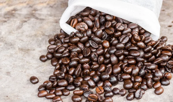 Coffee beans — Stock Photo, Image