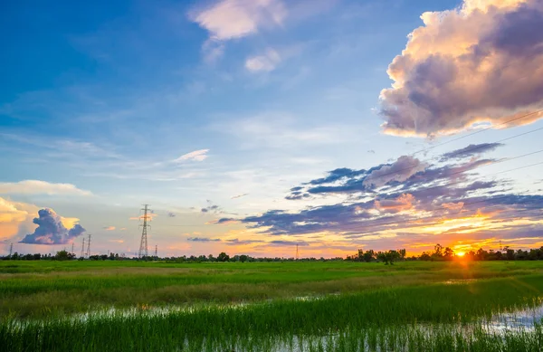 Sunset over rice fields — Stock Photo, Image