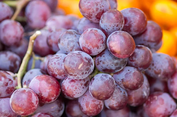 Raisins frais rouge foncé . — Photo