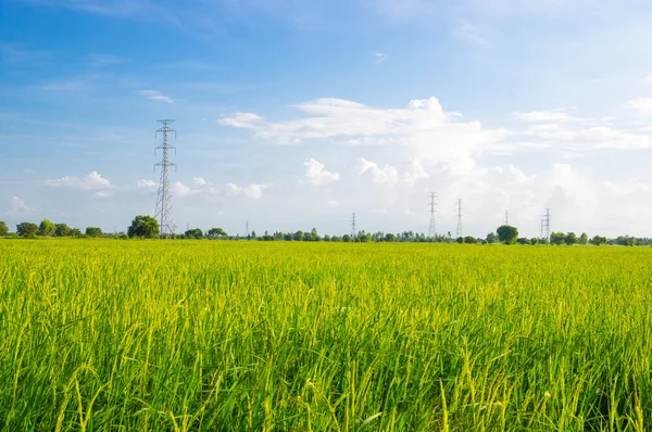 High voltage post.High-voltage tower with green field. — Stock Photo, Image