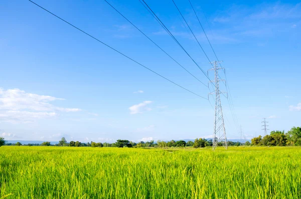 高電圧のポスト。緑の野原と高圧鉄塔. — ストック写真