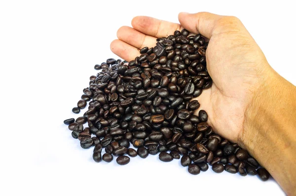 Coffee beans isolated — Stock Photo, Image