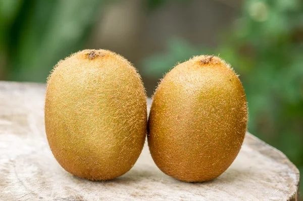 Kiwi fruta em madeira — Fotografia de Stock