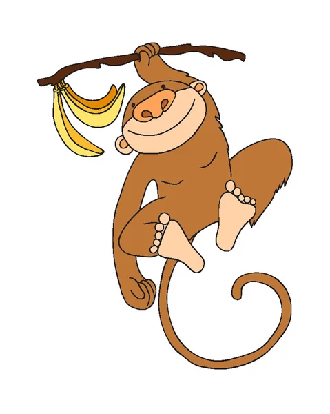 Affe mit Bananen auf weiß — Stockvektor