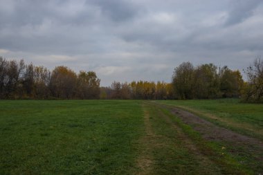 Sonbaharın sonlarında parkta manzara.
