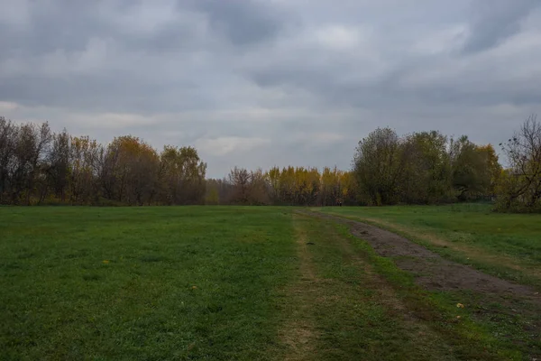 Sonbaharın sonlarında parkta manzara.