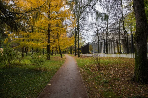 Krajobraz Późną Jesienią Parku — Zdjęcie stockowe