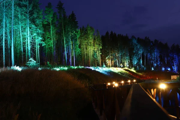Geceleri nehir kenarındaki renkli orman