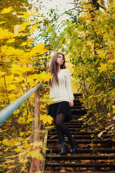 Schöne Frau mit langen Haaren auf gelben Herbstblättern Hintergrund — Stockfoto