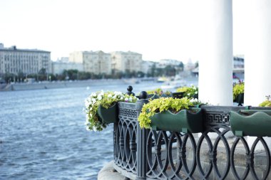 Şehrin Nehri profili