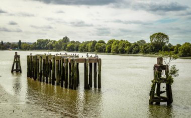 Thames nehrinin manzarası, Thames yolundan Hammersmith ve Fulham arasında bir yerde. Londra, İngiltere, Eylül 2018.